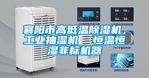 襄陽市高低溫除濕機，工業(yè)抽濕機  恒溫恒濕非標(biāo)機器