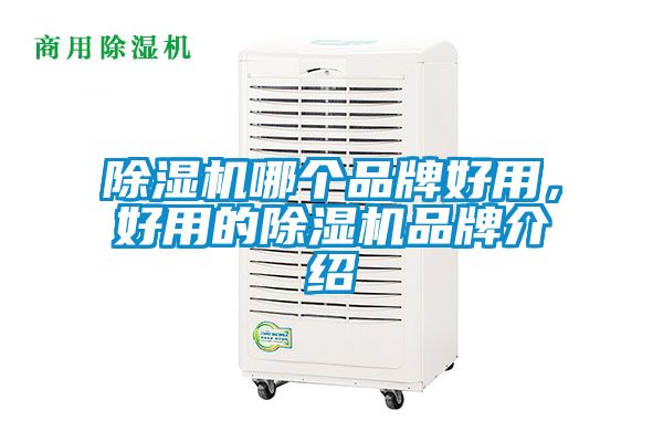 除濕機(jī)哪個(gè)品牌好用，好用的除濕機(jī)品牌介紹