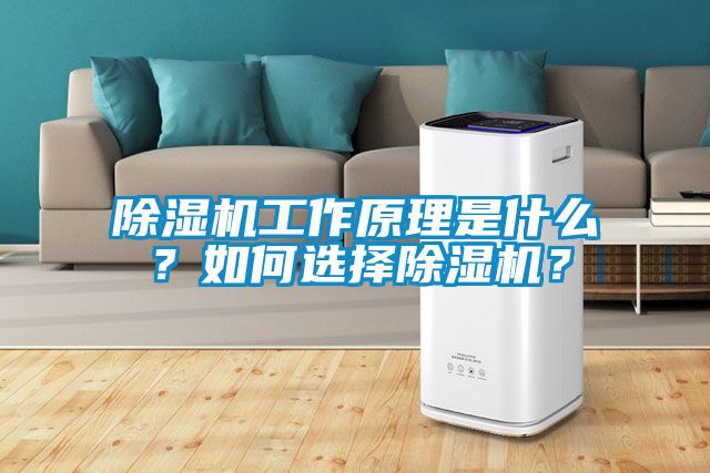 除濕機(jī)工作原理是什么？如何選擇除濕機(jī)？