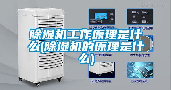 除濕機(jī)工作原理是什么(除濕機(jī)的原理是什么)