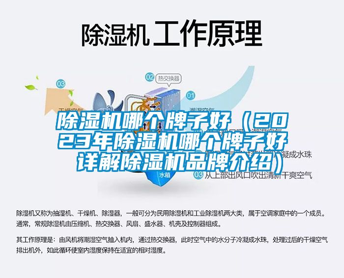 除濕機(jī)哪個(gè)牌子好（2023年除濕機(jī)哪個(gè)牌子好 詳解除濕機(jī)品牌介紹）