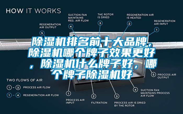 除濕機排名前十大品牌，除濕機哪個牌子效果更好，除濕機什么牌子好，哪個牌子除濕機好