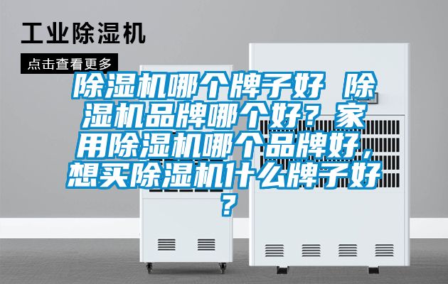 除濕機哪個牌子好 除濕機品牌哪個好？家用除濕機哪個品牌好，想買除濕機什么牌子好？