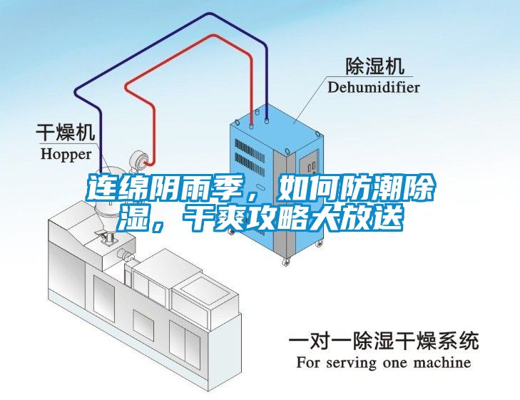 連綿陰雨季，如何防潮除濕，干爽攻略大放送