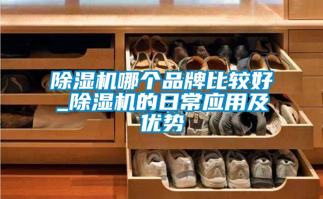 除濕機哪個品牌比較好_除濕機的日常應(yīng)用及優(yōu)勢