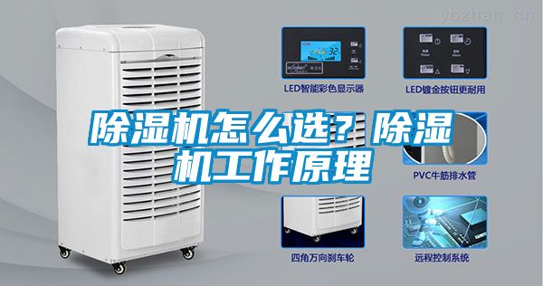 除濕機怎么選？除濕機工作原理