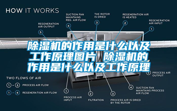 除濕機的作用是什么以及工作原理圖片 除濕機的作用是什么以及工作原理