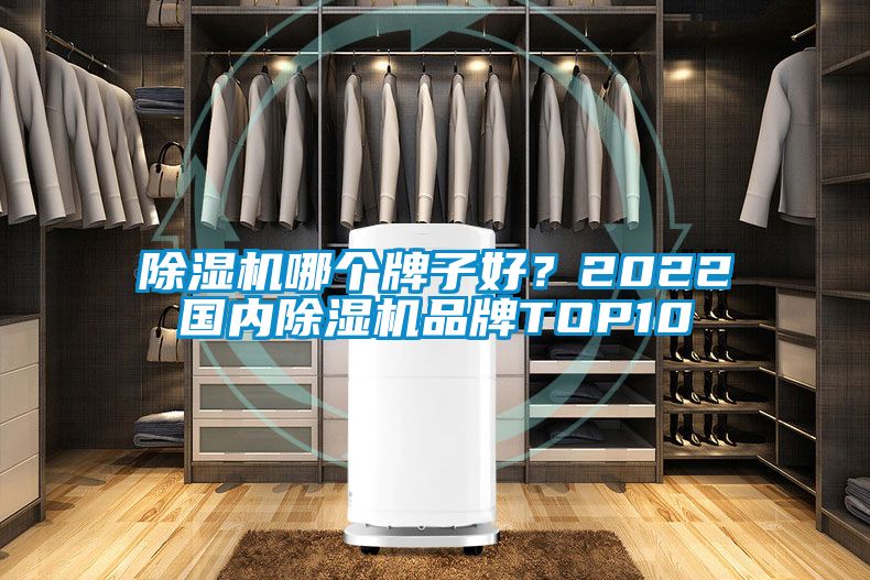 除濕機(jī)哪個牌子好？2022國內(nèi)除濕機(jī)品牌TOP10