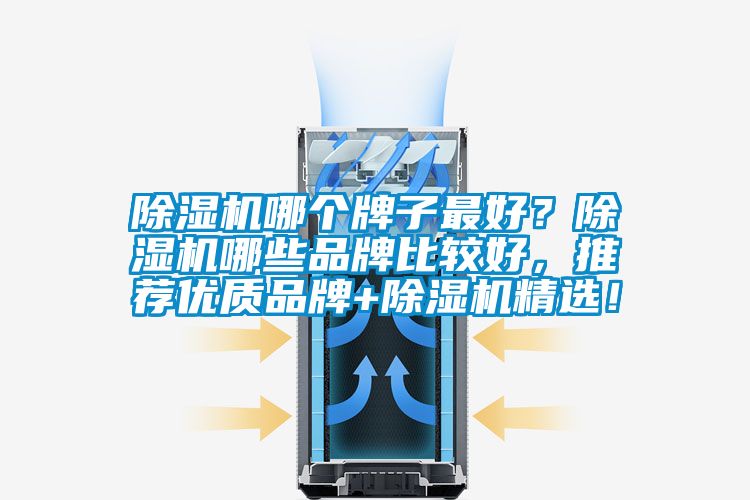 除濕機哪個牌子最好？除濕機哪些品牌比較好，推薦優(yōu)質(zhì)品牌+除濕機精選！