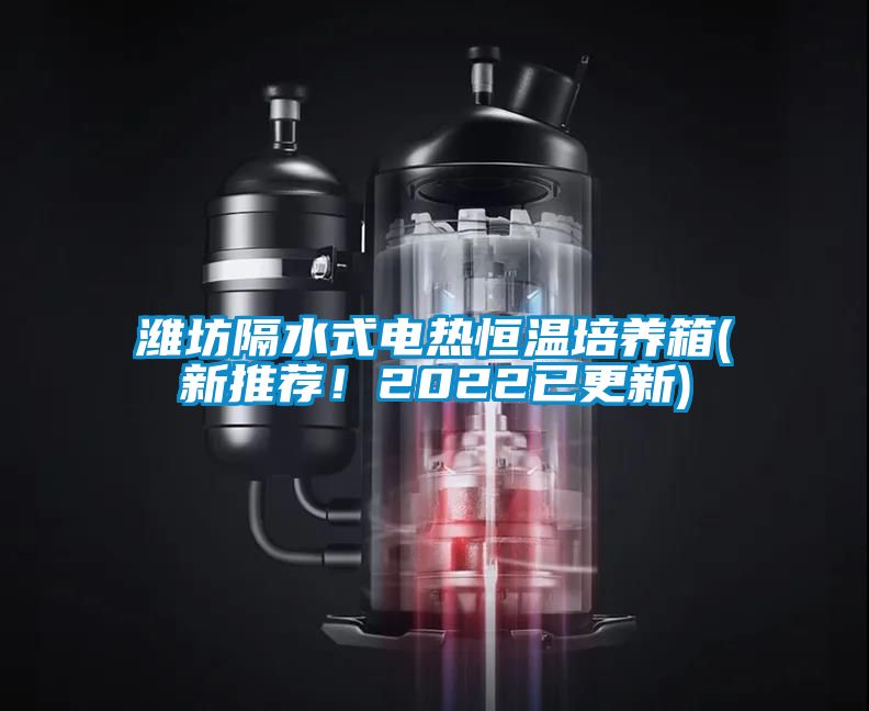 濰坊隔水式電熱恒溫培養(yǎng)箱(新推薦！2022已更新)