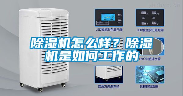 除濕機(jī)怎么樣？除濕機(jī)是如何工作的