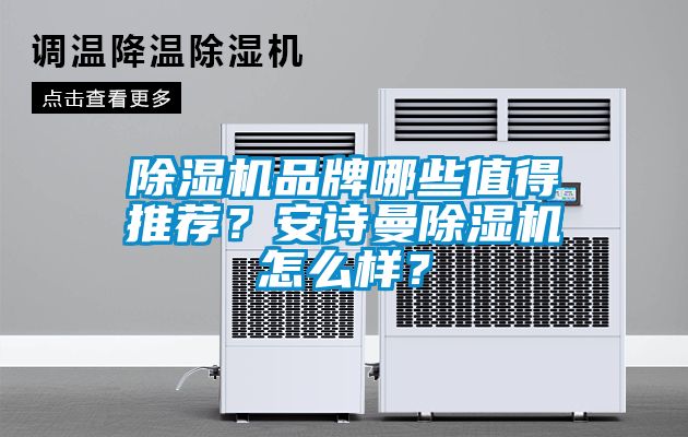 除濕機品牌哪些值得推薦？安詩曼除濕機怎么樣？