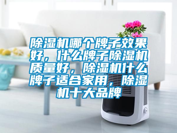 除濕機哪個牌子效果好，什么牌子除濕機質(zhì)量好，除濕機什么牌子適合家用，除濕機十大品牌