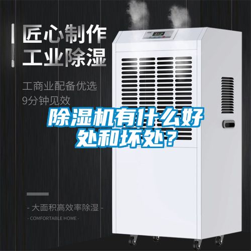 除濕機有什么好處和壞處？