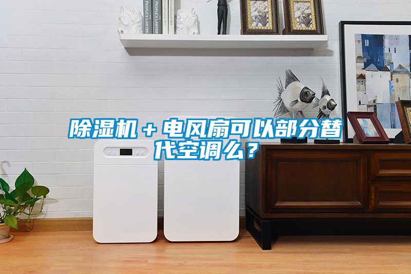 除濕機＋電風扇可以部分替代空調(diào)么？