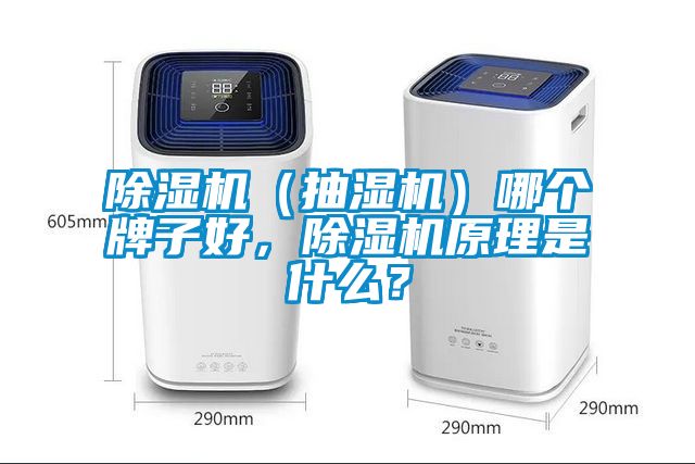 除濕機（抽濕機）哪個牌子好，除濕機原理是什么？