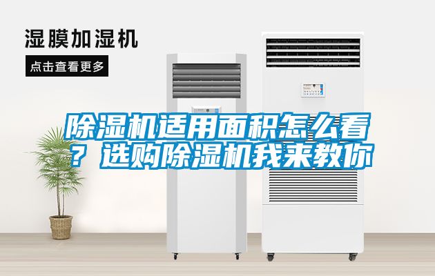 除濕機適用面積怎么看？選購除濕機我來教你