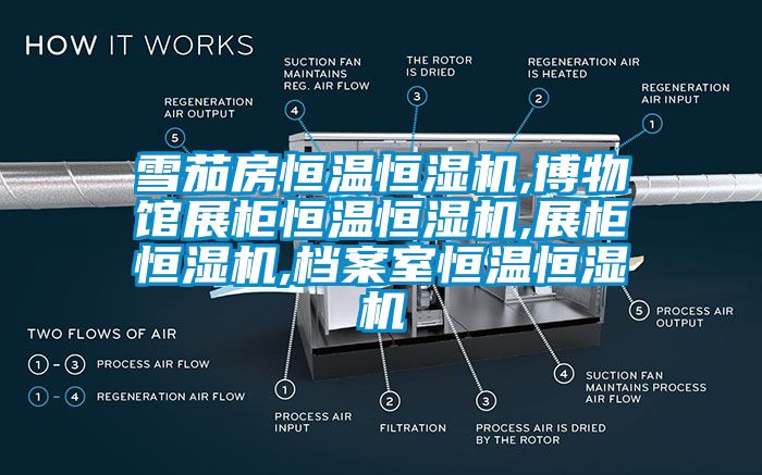 雪茄房恒溫恒濕機,博物館展柜恒溫恒濕機,展柜恒濕機,檔案室恒溫恒濕機