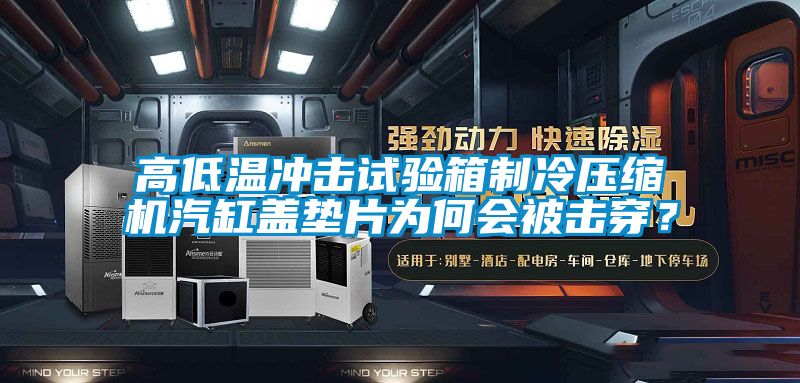 高低溫沖擊試驗箱制冷壓縮機汽缸蓋墊片為何會被擊穿？