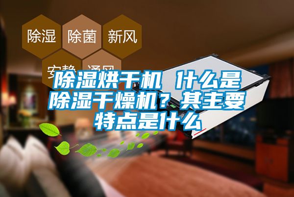 除濕烘干機 什么是除濕干燥機？其主要特點是什么