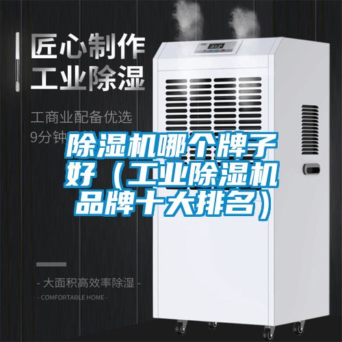 除濕機(jī)哪個(gè)牌子好（工業(yè)除濕機(jī)品牌十大排名）