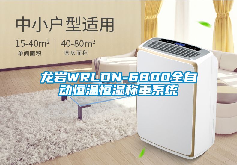 龍巖WRLDN-6800全自動恒溫恒濕稱重系統(tǒng)